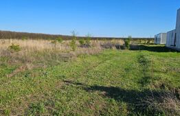 Teren intravilan, 609 mp, zona Pielesti-Qfort