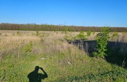 Teren intravilan, 609 mp, zona Pielesti-Qfort