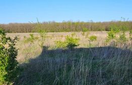 Teren intravilan, 609 mp, zona Pielesti-Qfort