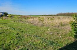 Teren intravilan, 609 mp, zona Pielesti-Qfort