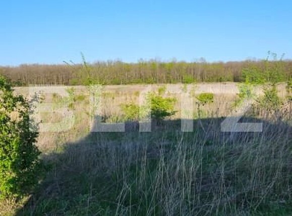 Teren de vânzare Exterior Est - 162605TV | BLITZ Craiova | Poza3