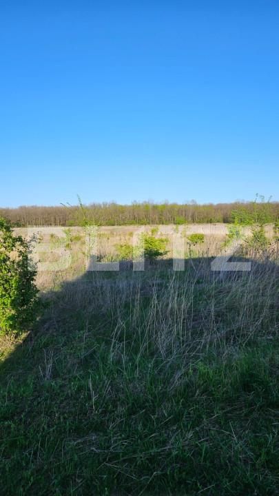 Teren de vânzare Exterior Est - 162605TV | BLITZ Craiova | Poza3