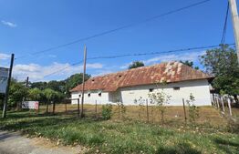 Constructie tip hala, 240 mp utili, teren 1000 mp, Brabova Dolj