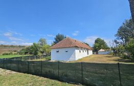 Constructie tip hala, 240 mp utili, teren 1000 mp, Brabova Dolj