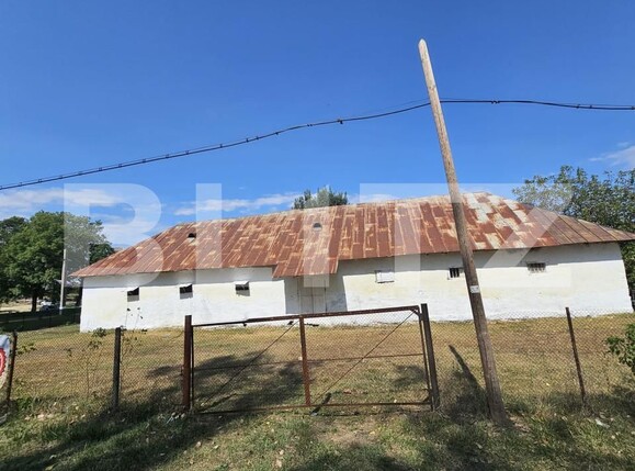 Spațiu industrial de închiriat Brabova - 162689SII | BLITZ Craiova | Poza3