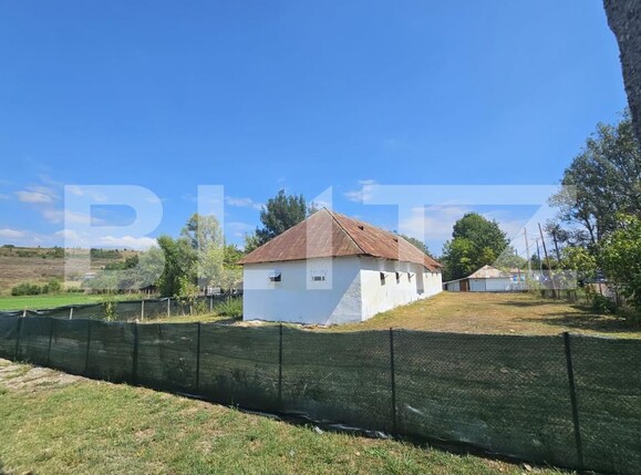 Spațiu industrial de închiriat Brabova - 162689SII | BLITZ Craiova | Poza1