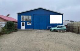 Hala Industriala, 288 mp, 610 mp teren, Calea Severinului