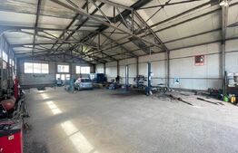 Hala Industriala, 288 mp, 610 mp teren, Calea Severinului