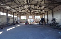Hala Industriala, 288 mp, 610 mp teren, Calea Severinului