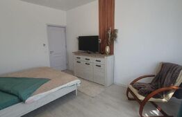Apartament de 2 camere, Curte, Ac, Centrala, Parcare, Zona Magnolia