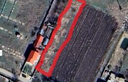 Teren Pielesti, 1364 mp, front stradal 13 mp