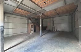 Hala industriala, 120 mp, Calea Severinului