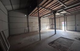 Hala industriala, 120 mp, Calea Severinului