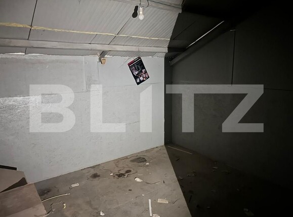 Spațiu industrial de închiriat Calea Severinului - 163113SII | BLITZ Craiova | Poza5
