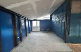 Hala industriala, 60 mp, zona Hanul Craiovitei