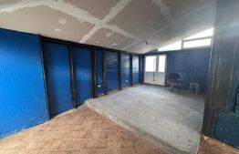 Hala industriala, 60 mp, zona Hanul Craiovitei