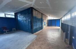 Hala industriala, 60 mp, zona Hanul Craiovitei