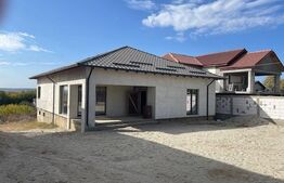 Casă la gri plan parter Malu Mare - Preajba 