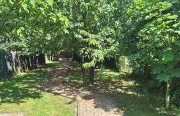 Casa P+M, 115 mp, 1000m teren, Dudovicesti