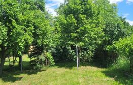 Casa P+M, 115 mp, 1000m teren, Dudovicesti