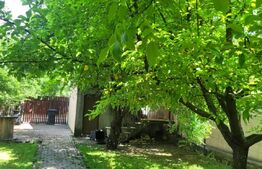 Casa P+M, 115 mp, 1000m teren, Dudovicesti