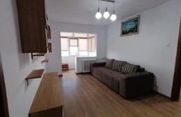 Apartament 2 camere, mobilat si utilat modern, zona Calea Bucuresti, Lidl