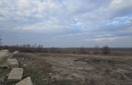 Teren intravilan, 9000 mp, Posibilitate parcelare, zona Drumul Industriilor