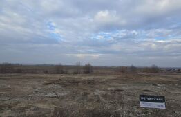 Teren intravilan, 9000 mp, Posibilitate parcelare, zona Drumul Idustriilor