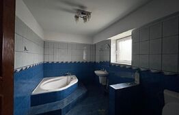 Casa cu 7 camere, 4 bai, 330 mp, 900 mp curte, zona Ford