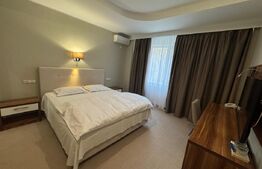 Hotel/Pensiune, 6 camere, 1700 mp, zona Hanul Doctorului