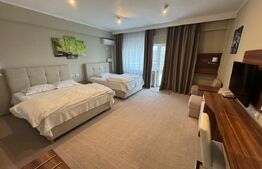 Hotel/Pensiune, 6 camere, 1700 mp, zona Hanul Doctorului