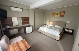 Hotel/Pensiune, 6 camere, 1700 mp, zona Hanul Doctorului