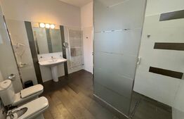 Hotel/Pensiune, 6 camere, 1700 mp, zona Hanul Doctorului