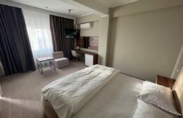 Hotel/Pensiune, 6 camere, 1700 mp, zona Hanul Doctorului