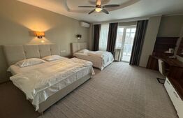 Hotel/Pensiune, 6 camere, 1700 mp, zona Hanul Doctorului