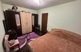 Apartament 2 camere 54 mp, parter, zona Brazda, Big family