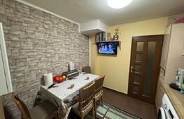 Apartament 2 camere 54 mp, parter, zona Brazda, Big family