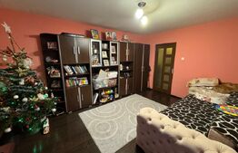 Apartament 2 camere 54 mp, parter, zona Brazda, Big family