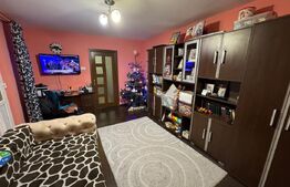 Apartament 2 camere 54 mp, parter, zona Brazda, Big family