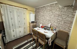 Apartament 2 camere 54 mp, parter, zona Brazda, Big family