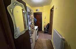 Apartament 2 camere 54 mp, parter, zona Brazda, Big family