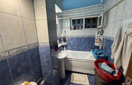 Apartament 2 camere 54 mp, parter, zona Brazda, Big family