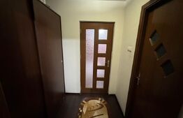 Apartament 2 camere 54 mp, parter, zona Brazda, Big family