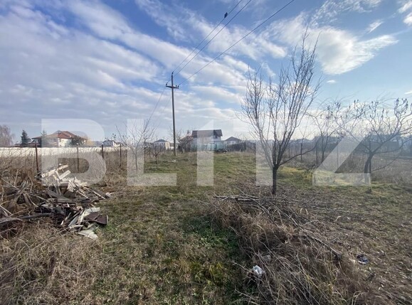 Teren de vânzare Valea Rosie - 163965TV | BLITZ Craiova | Poza1