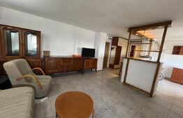 Apartament cu 2 camere open space, 55 mp, zona Bvd 1 Mai