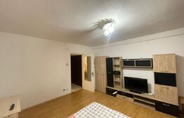 Garsoniera 31mp,etaj 10,zona Liceul Nicolae Titulescu