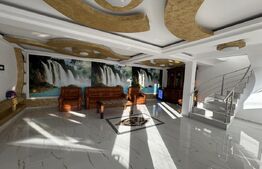 Casa P+1 283,69 mp, cartier Romanesti