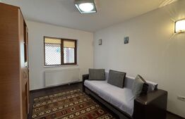 Casă D + P + M de 217 mp utili, teren 2.061 mp, Leamna de Jos