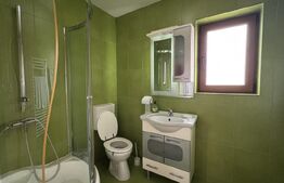 Casă D + P + M de 217 mp utili, teren 2.061 mp, Leamna de Jos