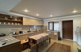 Casă D + P + M de 217 mp utili, teren 2.061 mp, Leamna de Jos